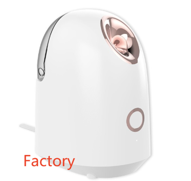 Glow Mist Facial Beauty Steamer