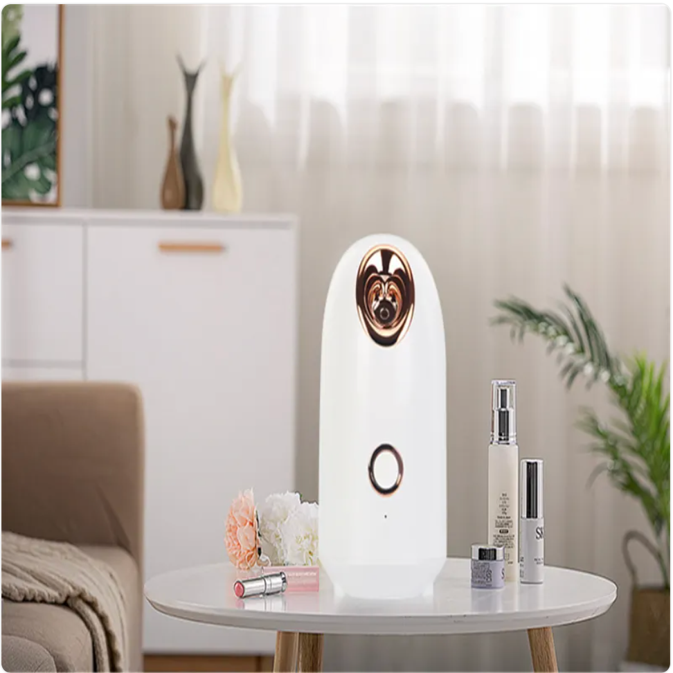 Glow Mist Facial Beauty Steamer